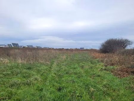 trecobois brest