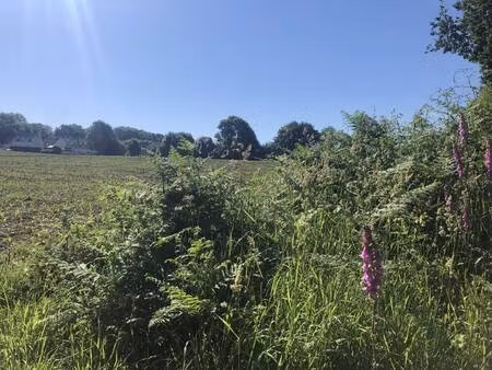 terrain constructible viabilisé à vendre