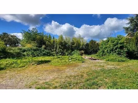 terrain constructible viabilisé à vendre