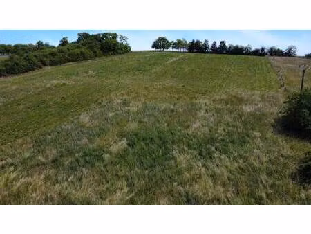 terrain constructible viabilisé à vendre