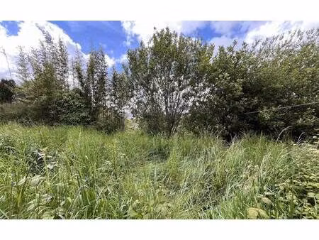 terrain constructible viabilisé à vendre