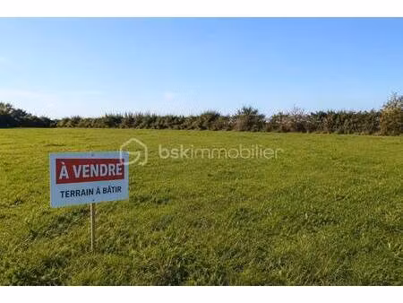 terrain constructible viabilisé à vendre