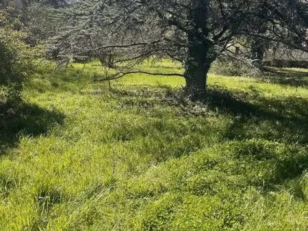 terrain 9 842 m² gratentour