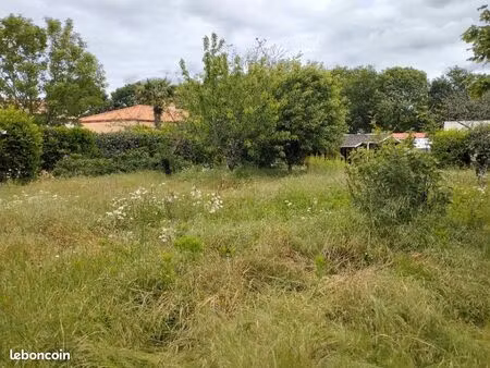 terrain 567 m² sainte pazanne