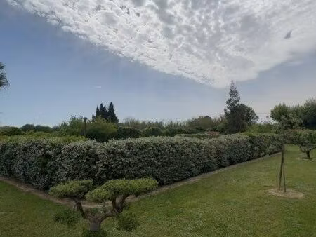 terrain agricole