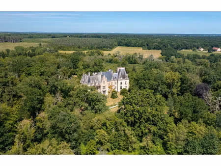 château à vendre à la guerche-sur-l'aubois