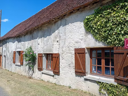 maison à vendre à thollet (86290) - vienne
