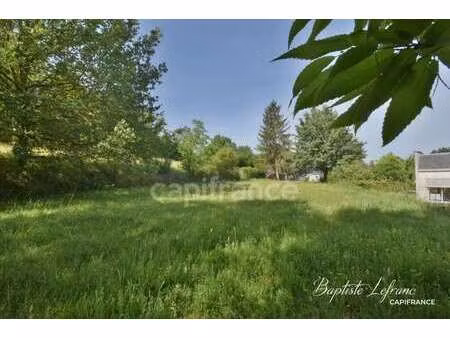 vente terrain à beauvau (49140) : à vendre / 1000m² beauvau