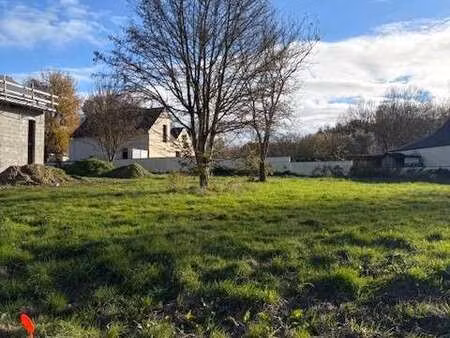 vente terrain à l'hôtellerie-de-flée (49500) : à vendre / l'hôtellerie-de-flée