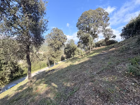 vente terrain casaglione