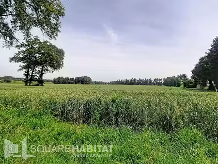 terrain pipriac 1 614 m2 - en campagne
