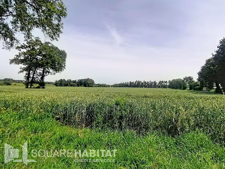 terrain pipriac 1614 m2