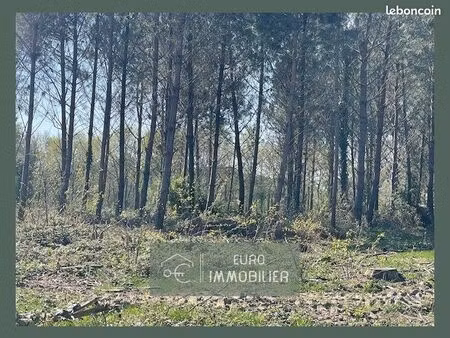 terrain 55394 m² cudos