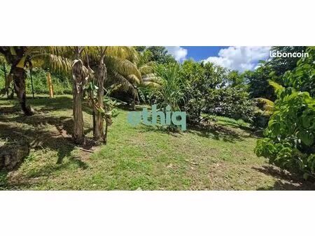 terrain 500 m² les abymes