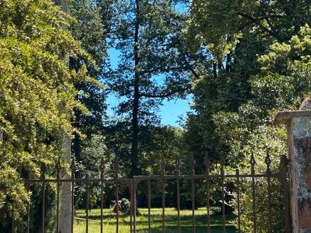location maison montauban 82000