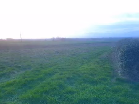 terrain à louer