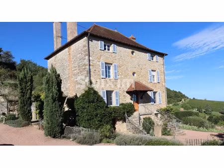 propriété à vendre à culles-les-roches