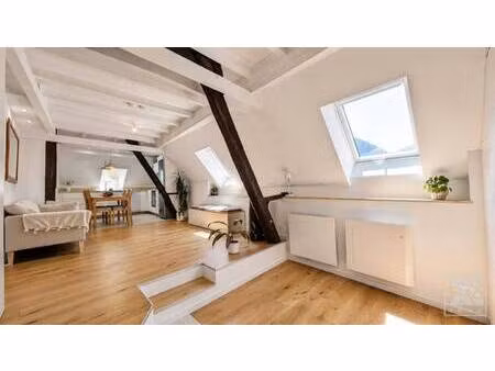 duplex à vendre