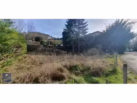 terrain