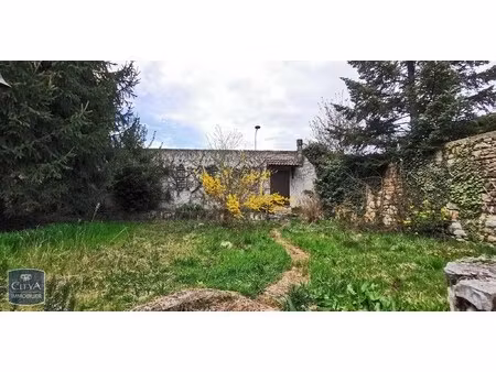 terrain