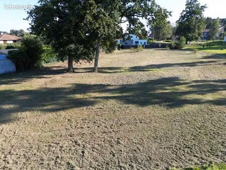 terrain 2500 m2 arboré