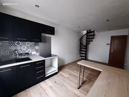 bel appartement en duplex hyper centre