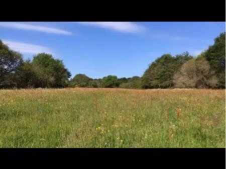 prairie