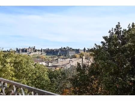 duplex en plein coeur de carcassonne avec vue cité