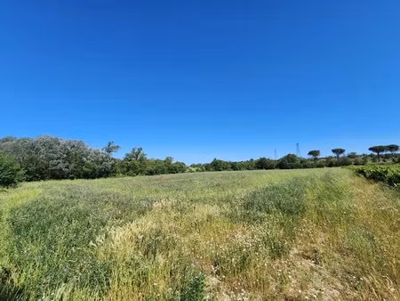 terrain agricole