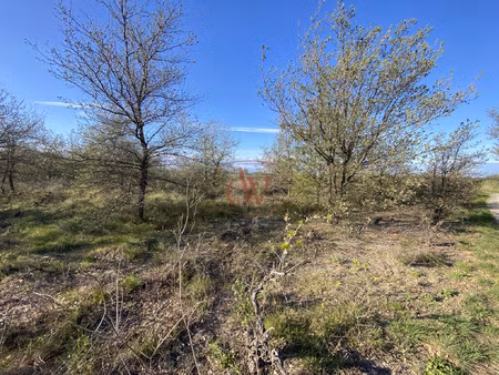 terrain agricole de 2281 m2 entièrement plat ( bages )