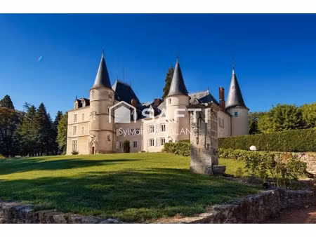 vente maison 25 pièces 1100 m² sanssat (03150)