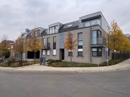 appartement te huur in beerzel met 2 slaapkamers