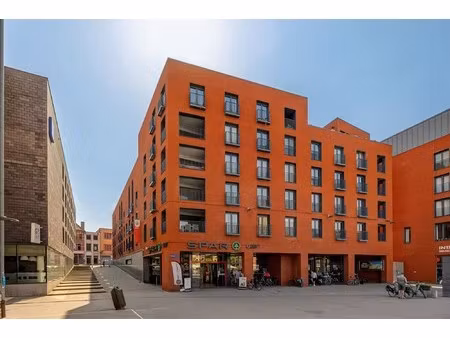 ruim appartement met zicht op de dijle in mechelen