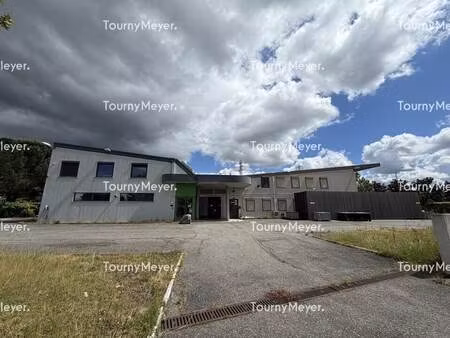 vente local d’activités saint orens de gameville 31650 1205m²