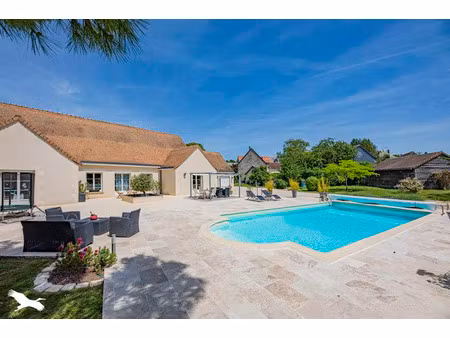 vente maison 9 pièces 205 m² vou (37240)