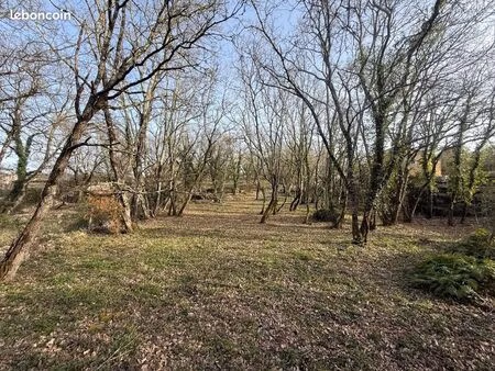 terrain 2950 m² chauzon
