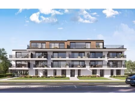 residentie damarin