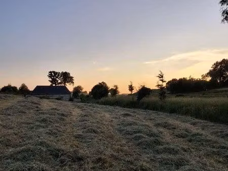 recherche herbage pour faucher où pâturer