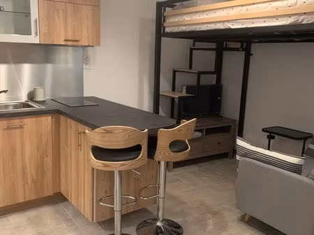 studio meublé 15m2 avec espace extérieur – secteur carmes-notre dame – récemment rénové – 