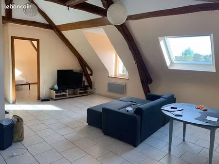 appartement t2 47m2 lumineux