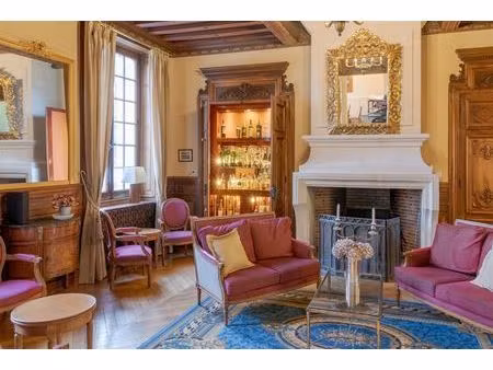 manoir en sologne/val de loire
