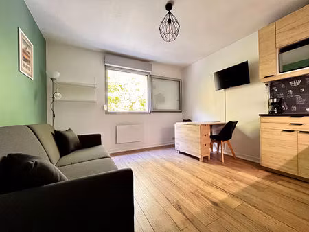 studio meublé entièrement rénové avec vue loire