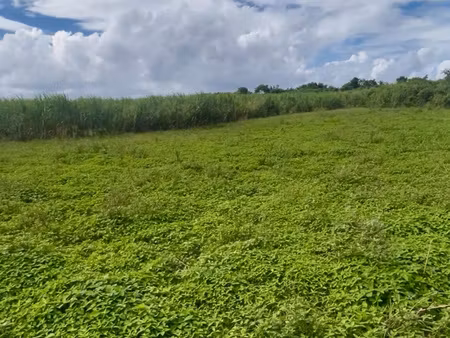 achat terrain 3 581m² st andre 97440