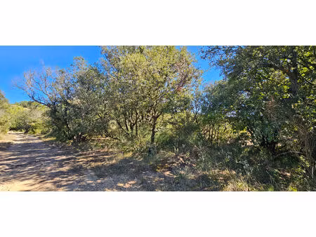 terrain la caunette 1200 m2