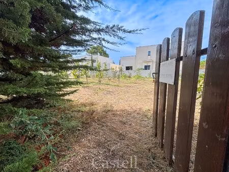 terrain