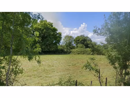 vente terrain 1200 m² moulon (33420)