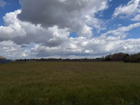 vente terrain 502 m² saint-pierre-de-mons (33210)