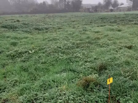 vente terrain 2338 m² boisjean (62170)