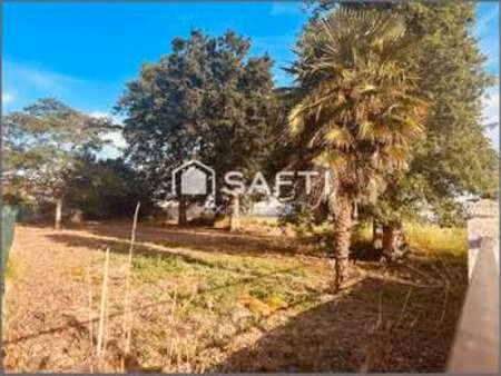 vente terrain à bellevigny (85170) : à vendre / 692m² bellevigny