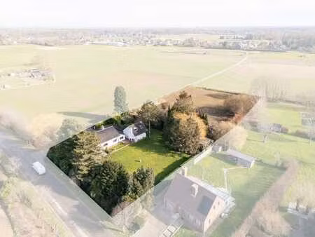 maison ouverte avec prairie à chevaux à humbeek
